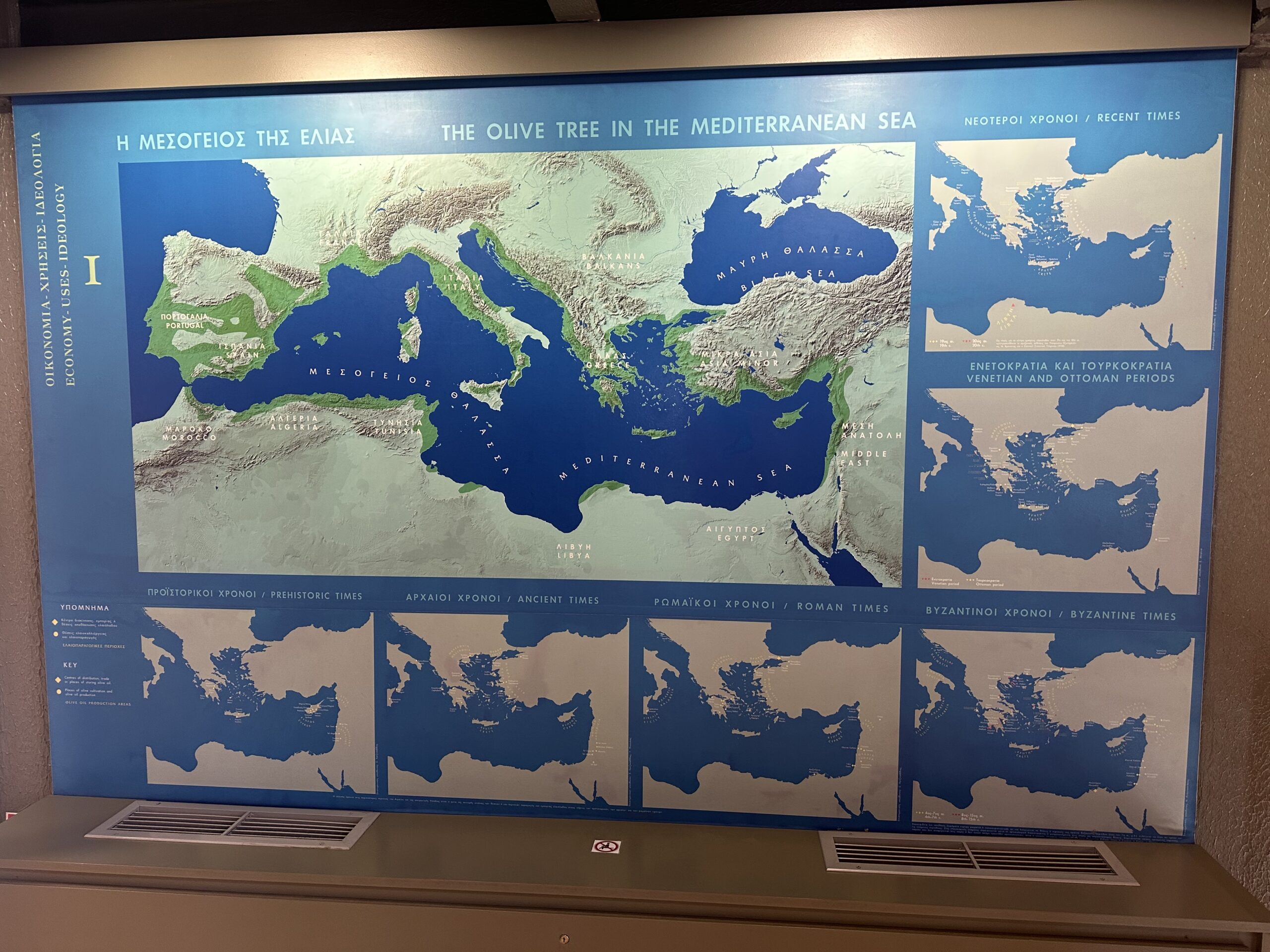 Mediterranean map of olive trees cultivation from the Olive museum in Sparta