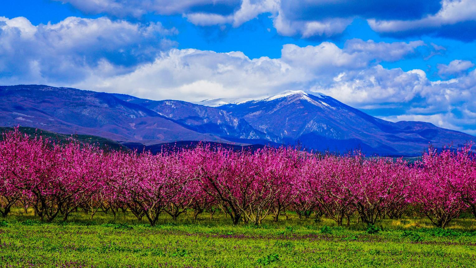 Vergina (Aigai): Walking Into the Heart of Ancient Macedonia