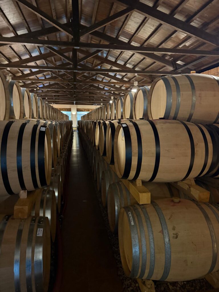 Barrels at Biblia Chora winery