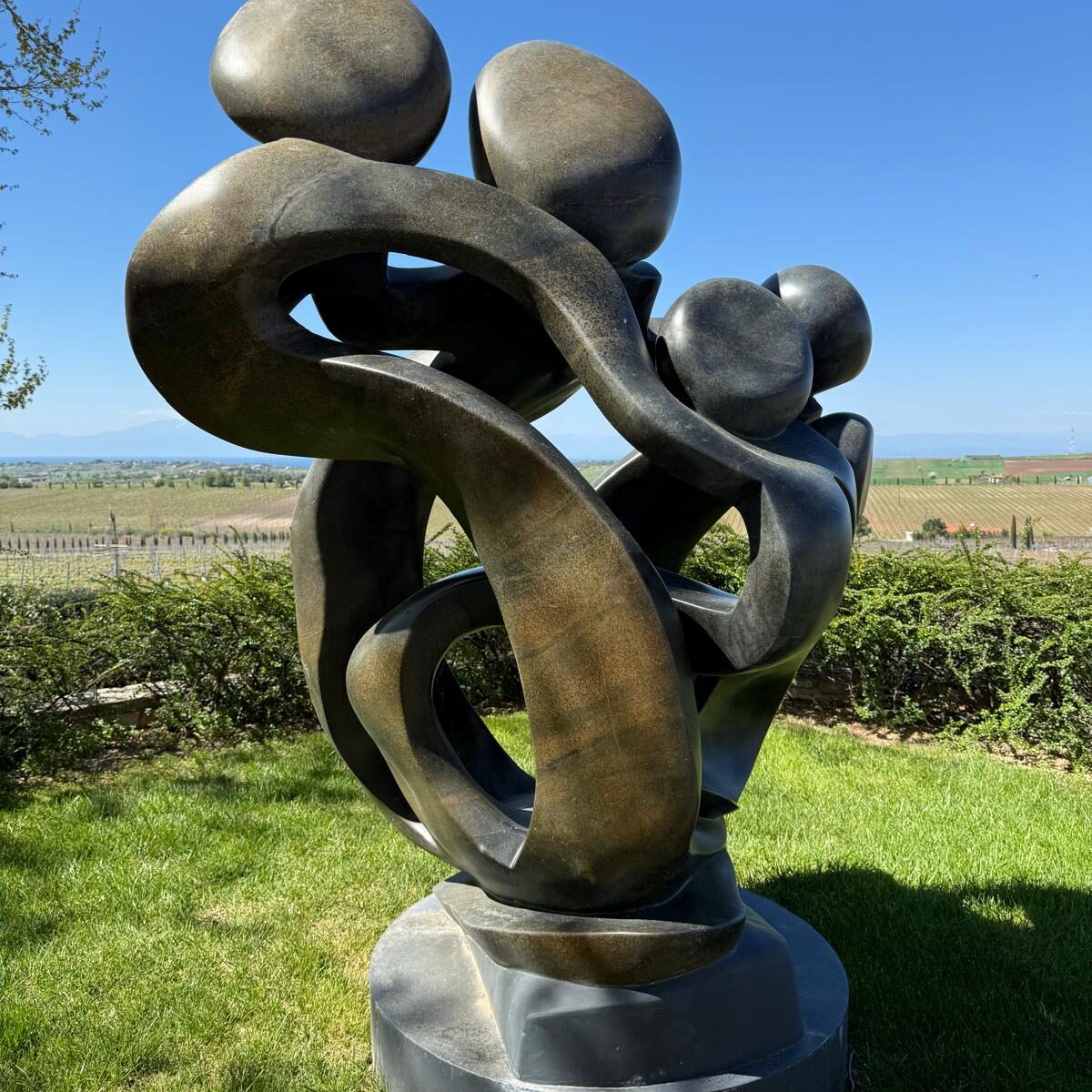 Art Between the Vines