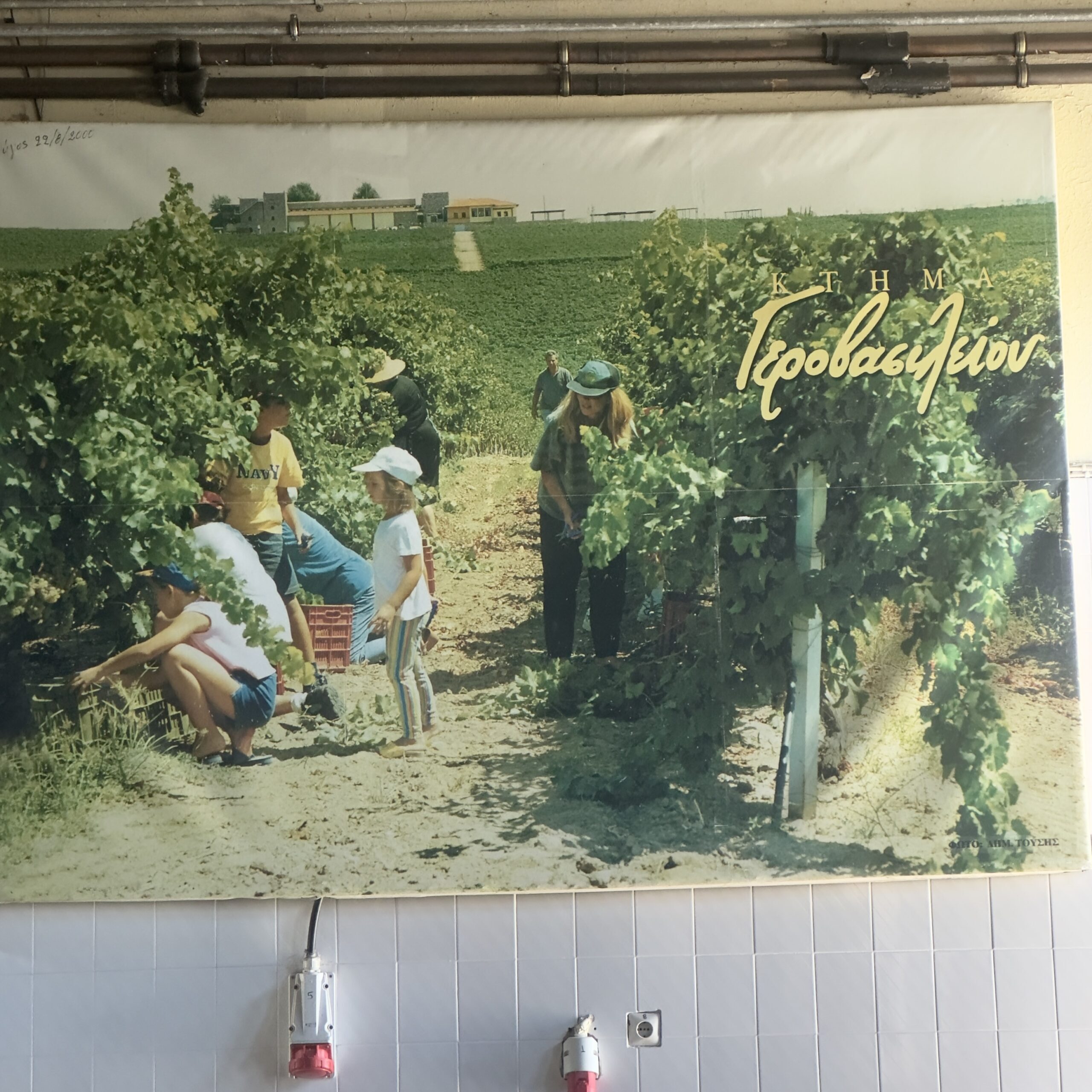 The Harvest Spirit of Greece
