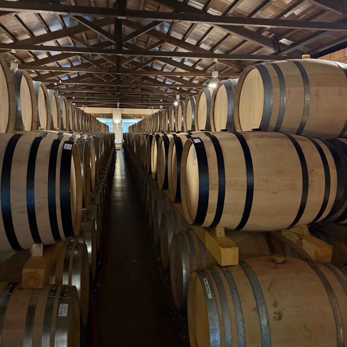 Barrels at Biblia Chora winery