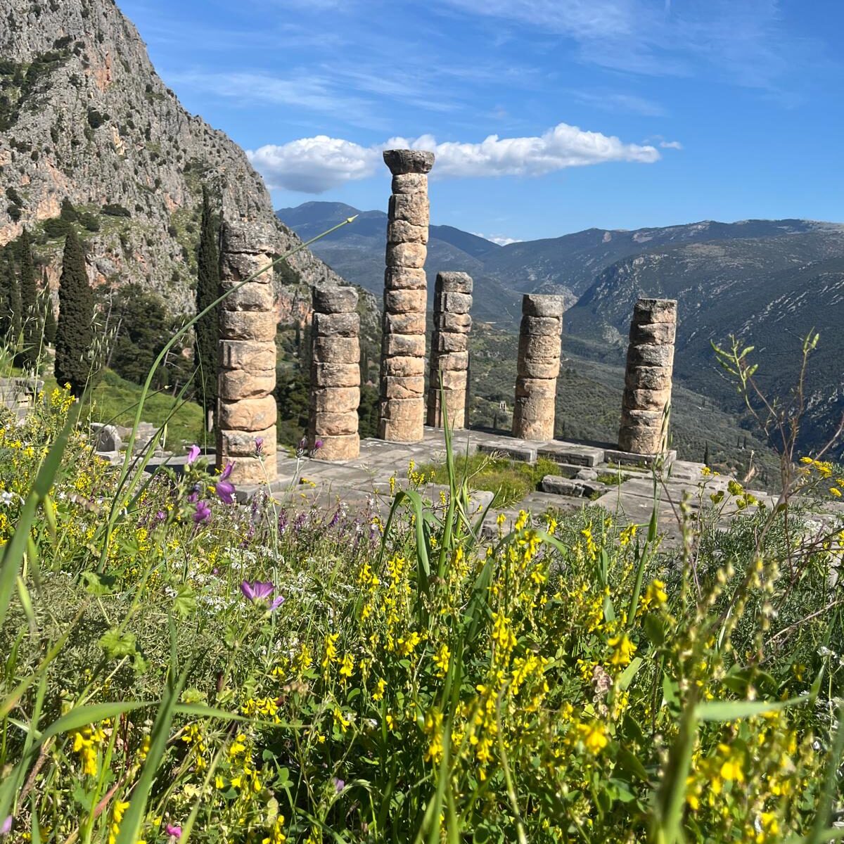 Ancient Columns at Delphi